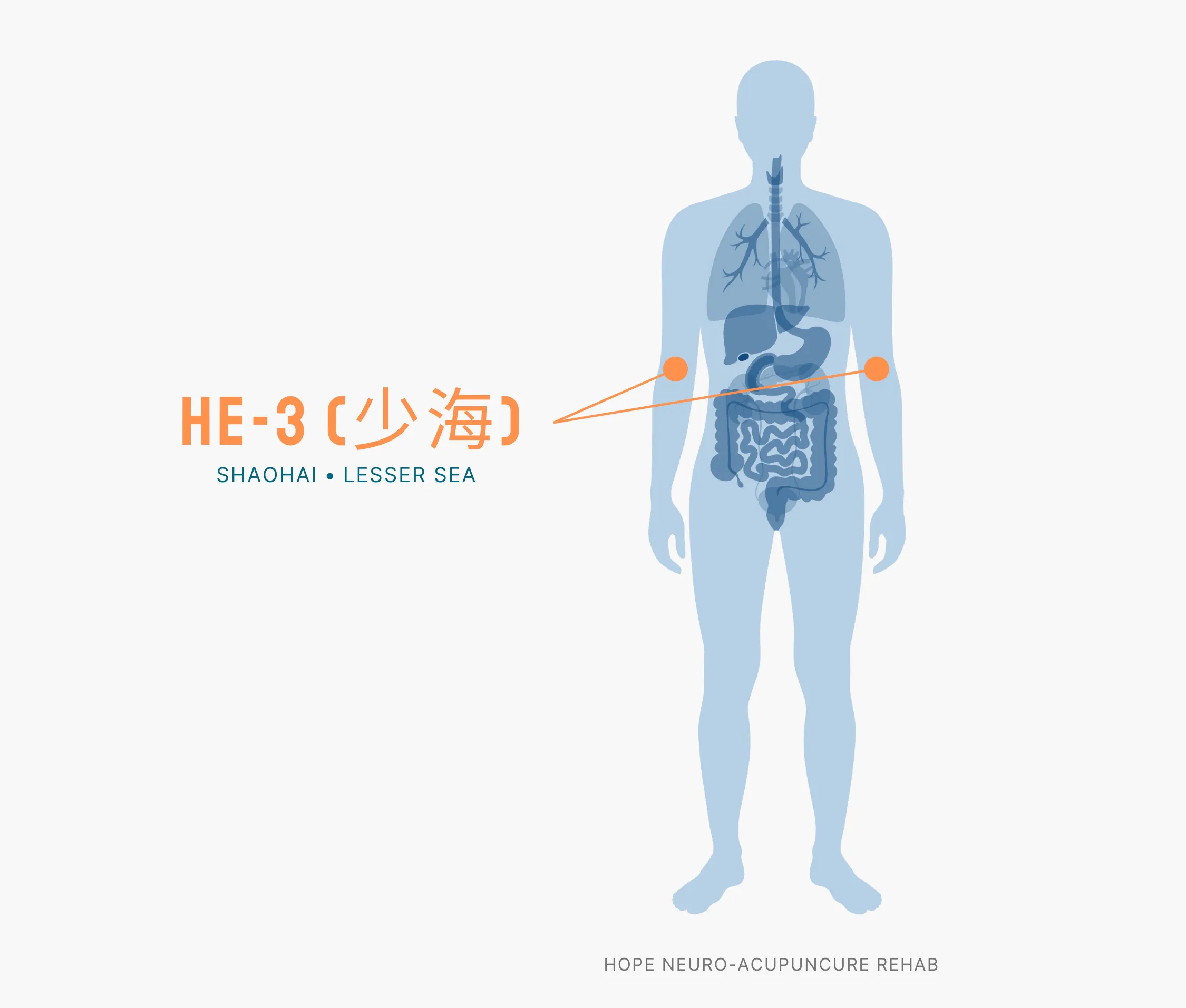 Diagram Showing Where the HE-3 Acupuncture Point (also known as Shaohai or Lesser Sea) is within the Heart Meridians