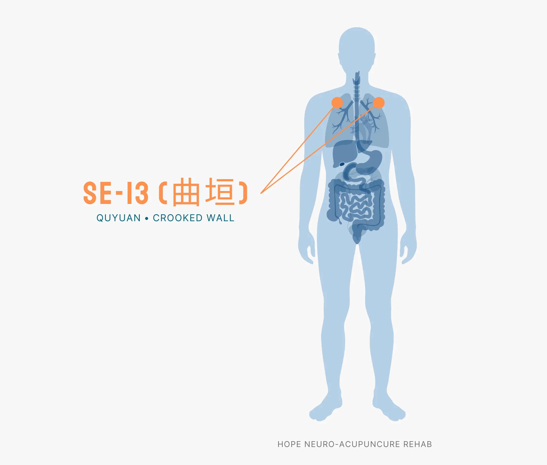 Diagram Showing Where the SI-13 Acupuncture Point (also known as Quyuan or Crooked Wall) is within the Small Intestine Meridians