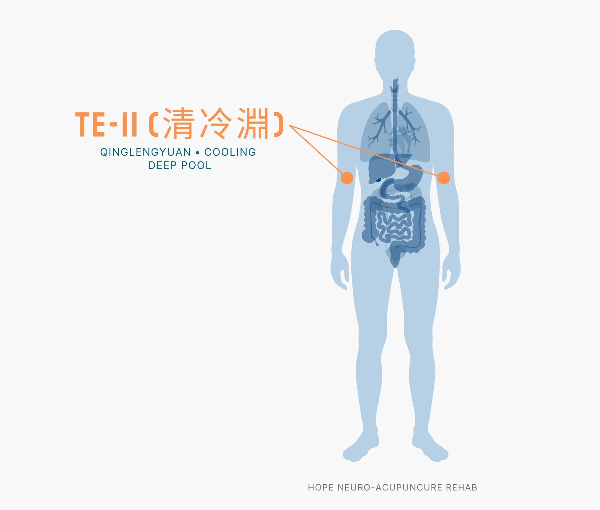 Diagram Showing Where the TE-11 Acupuncture Point (also known as Qinglengyuan or Cooling Deep Pool) is within the Triple Burner Meridian