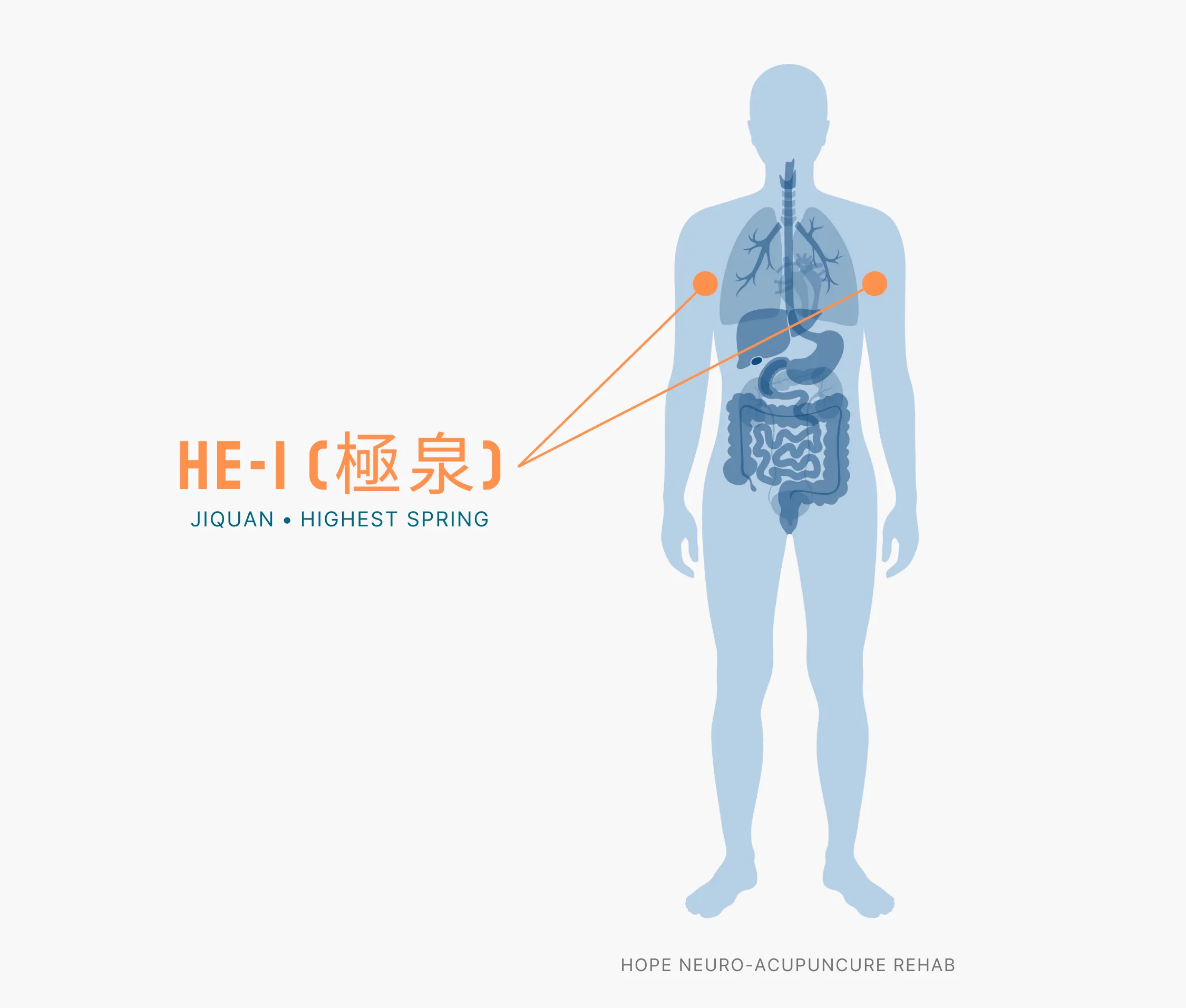 Diagram Showing Where the HE-1 Acupuncture Point (also known as Jiquan or Highest Spring) is within the Heart Meridians