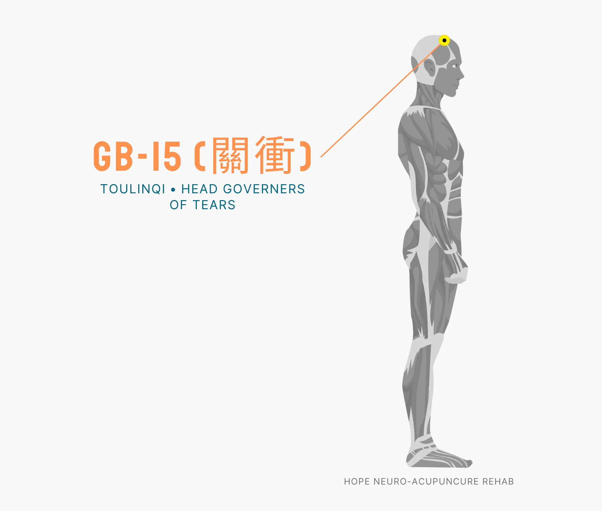 Diagram Showing Where the GB-15 Acupuncture Point (also known as Toulinqi or Head Governers of Tears) is within the Gallbladder Meridian