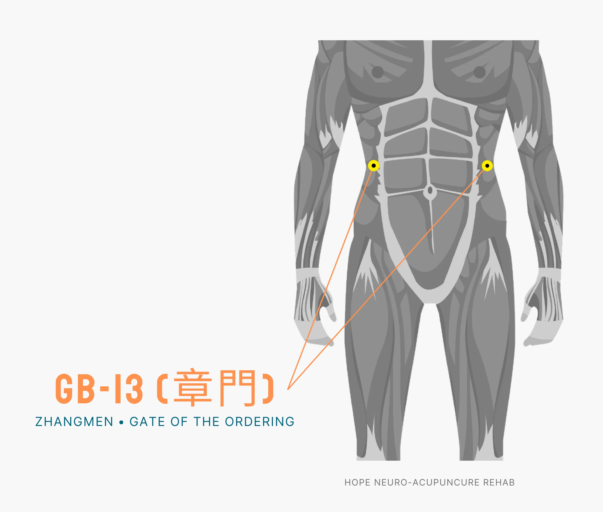 Diagram Showing Where the An Acupuncture Point is within the Liver Meridian
