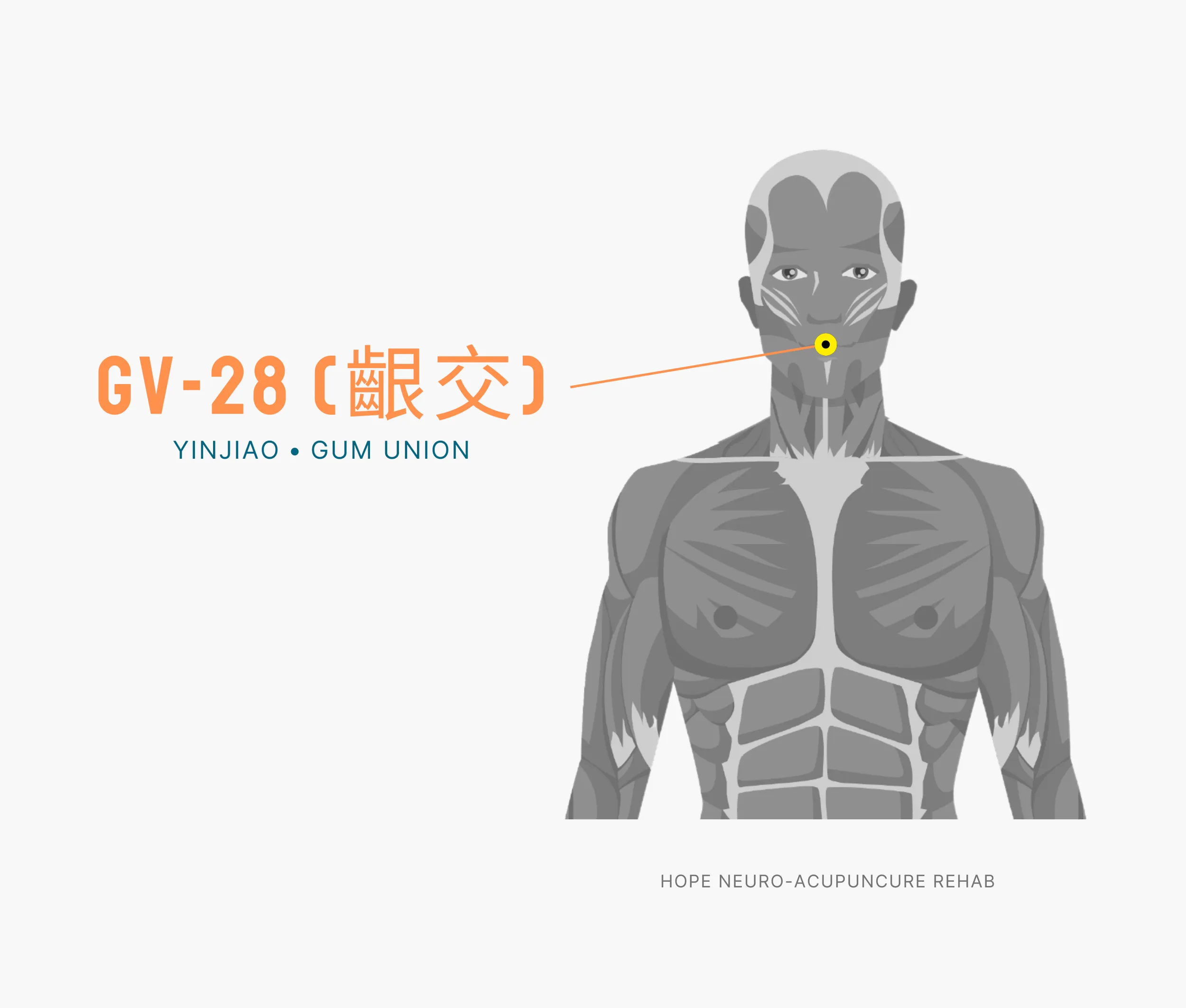 Diagram Showing Where the An Acupuncture Point is within the Governing Vessel Meridian