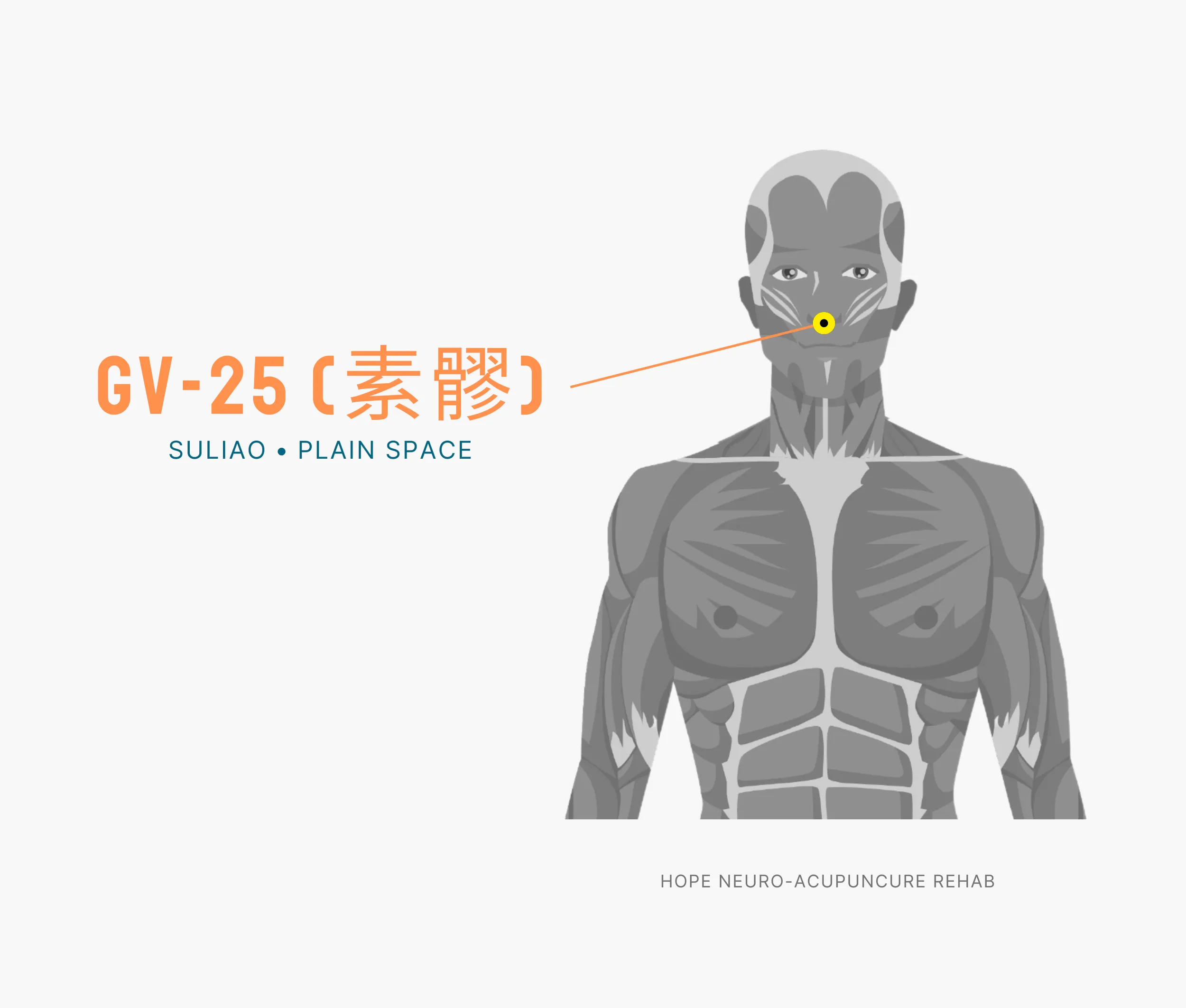 Diagram Showing Where the An Acupuncture Point is within the Governing Vessel Meridian