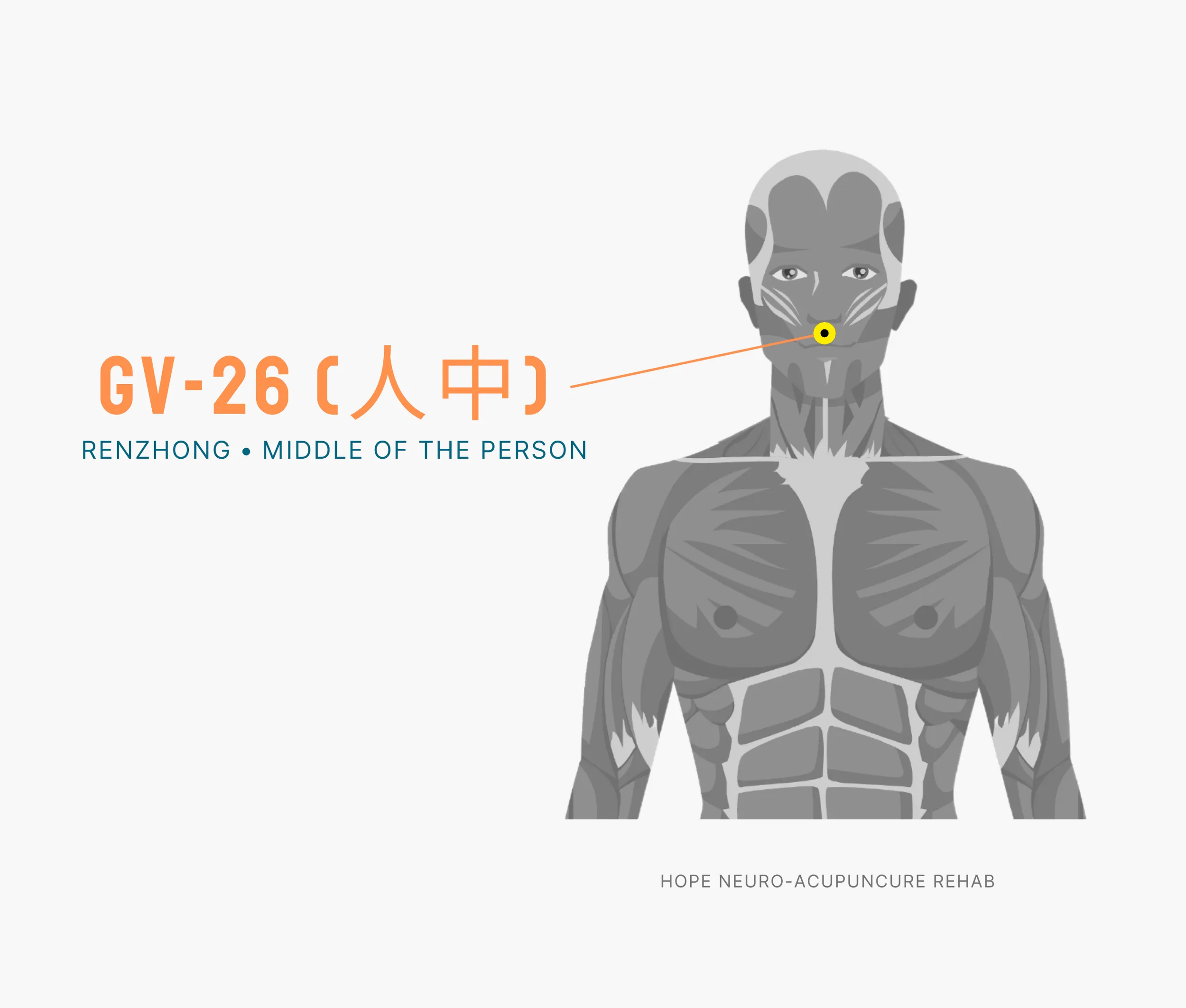Diagram Showing Where the An Acupuncture Point is within the Governing Vessel Meridian