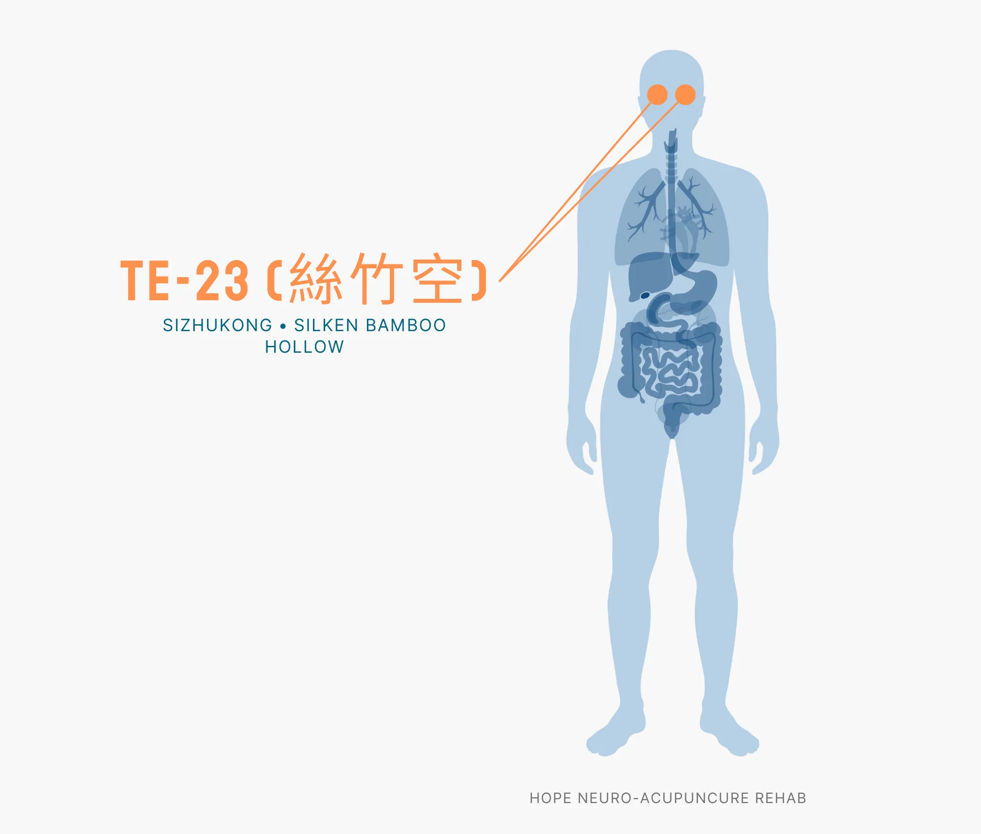 Diagram Showing Where the TE-23 Acupuncture Point (also known as Sizhukong or Silken Bamboo Hollow) is within the Triple Burner Meridian