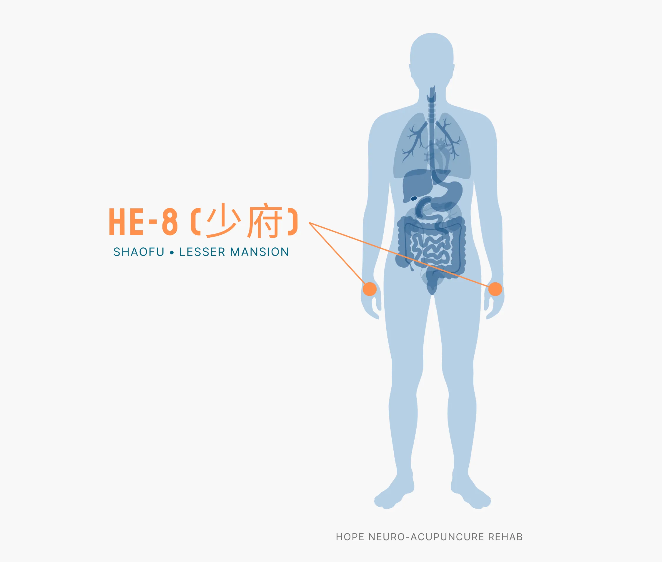 Diagram Showing Where the HE-8 Acupuncture Point (also known as Shaofu or Lesser Mansion) is within the Heart Meridians