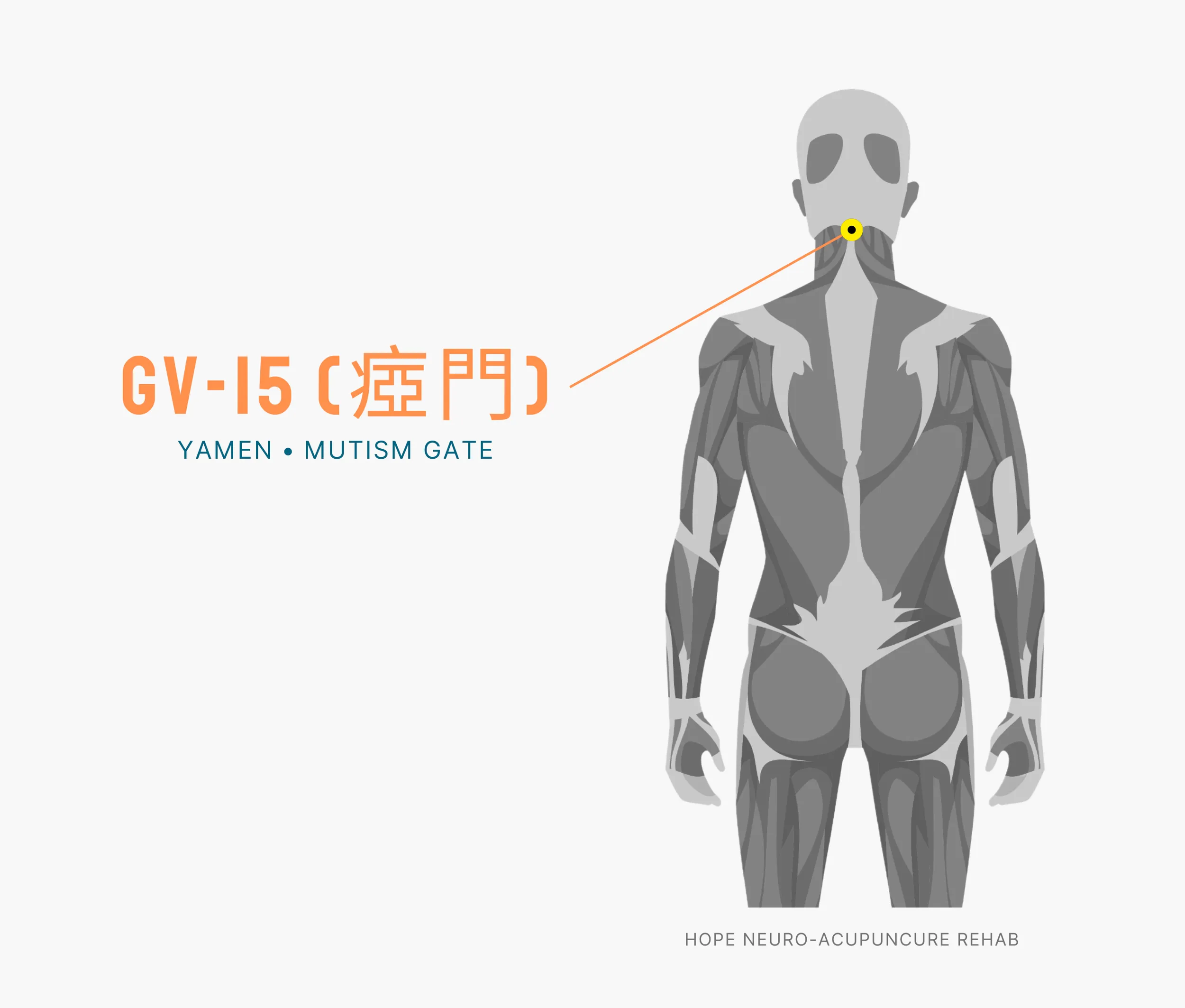 Diagram Showing Where the An Acupuncture Point is within the Governing Vessel Meridian