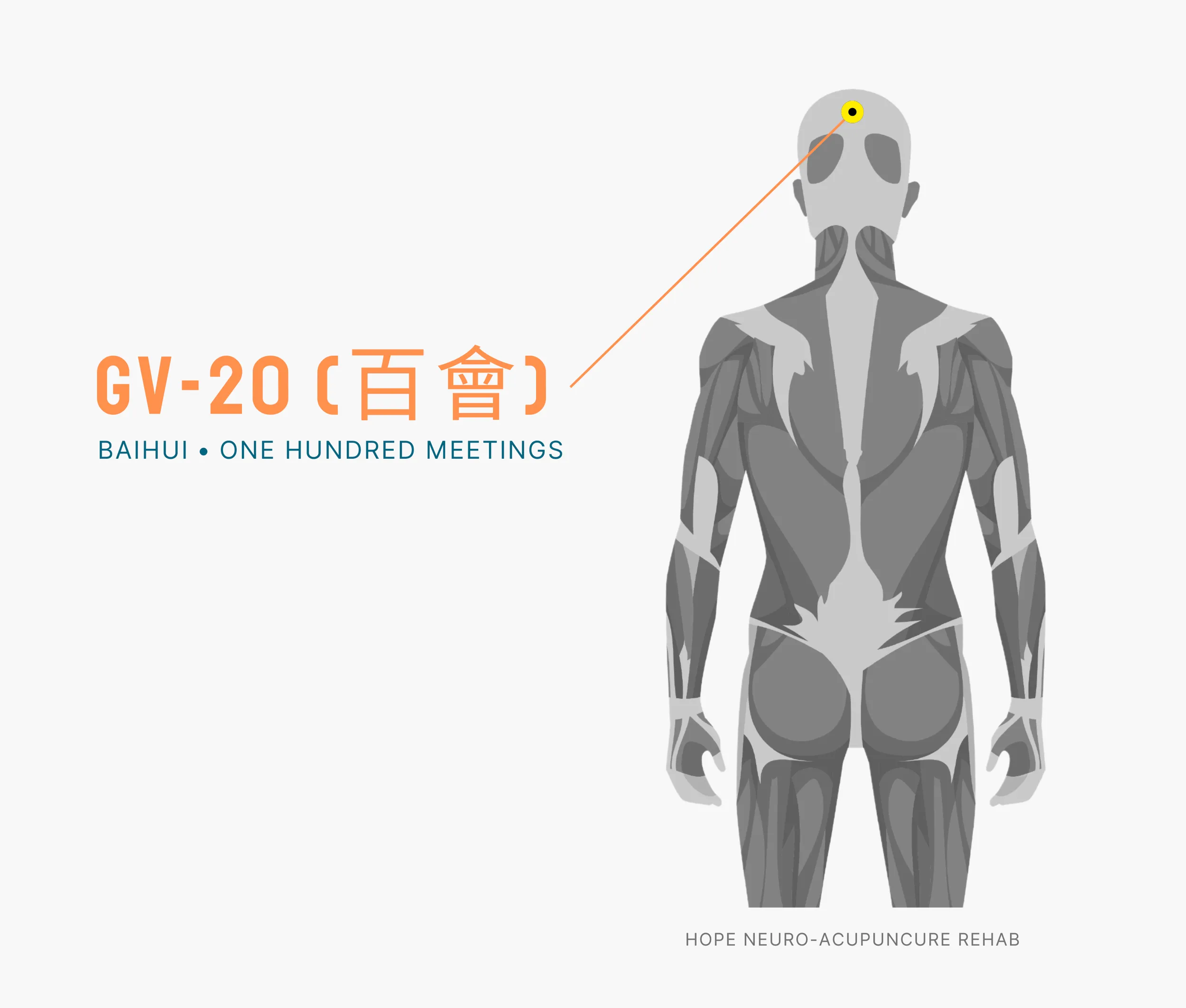 Diagram Showing Where the An Acupuncture Point is within the Governing Vessel Meridian