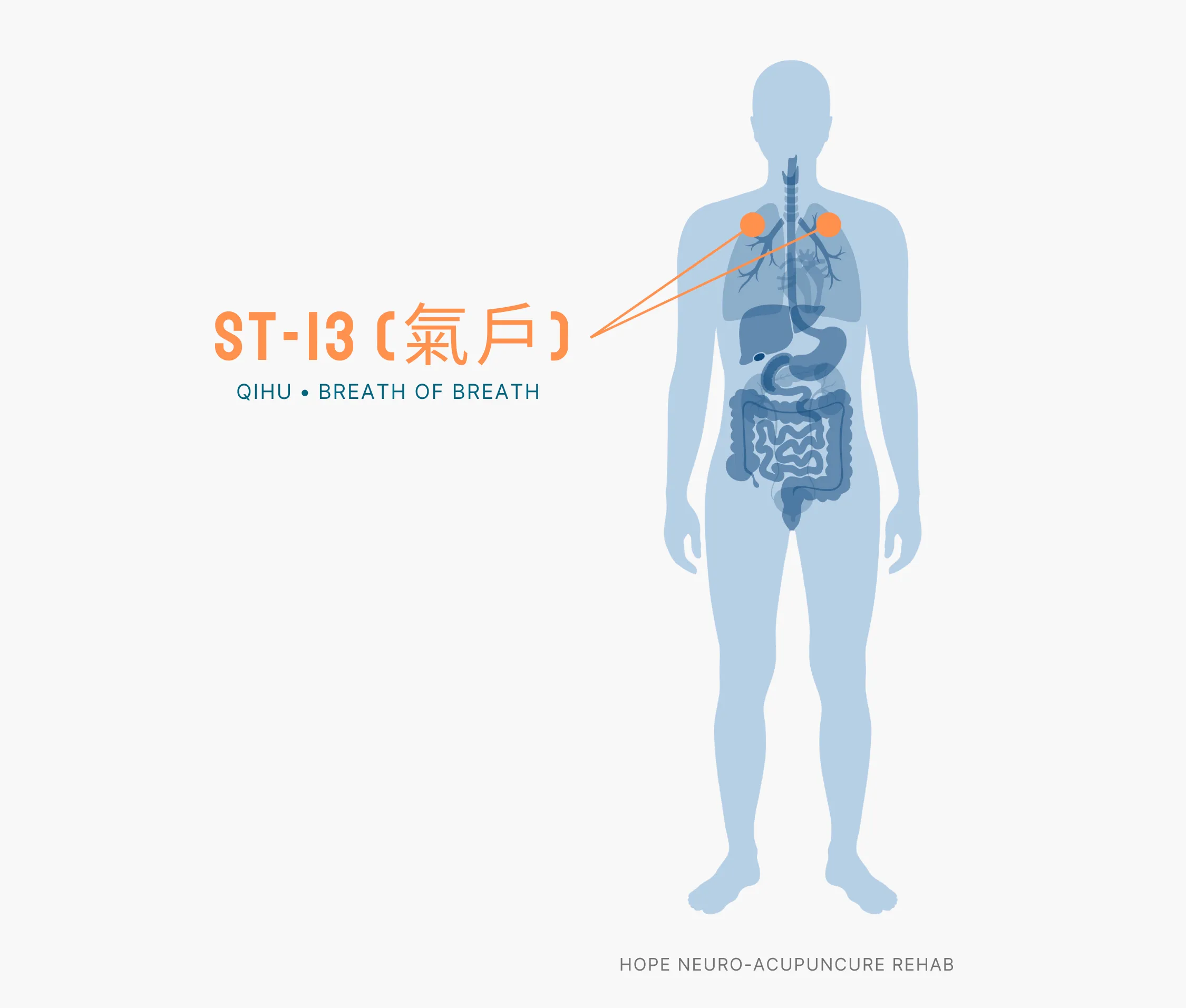 Diagram Showing Where the ST-13 Acupuncture Point (also known as Qihu or Breath of Breath) is within the Stomach Meridians
