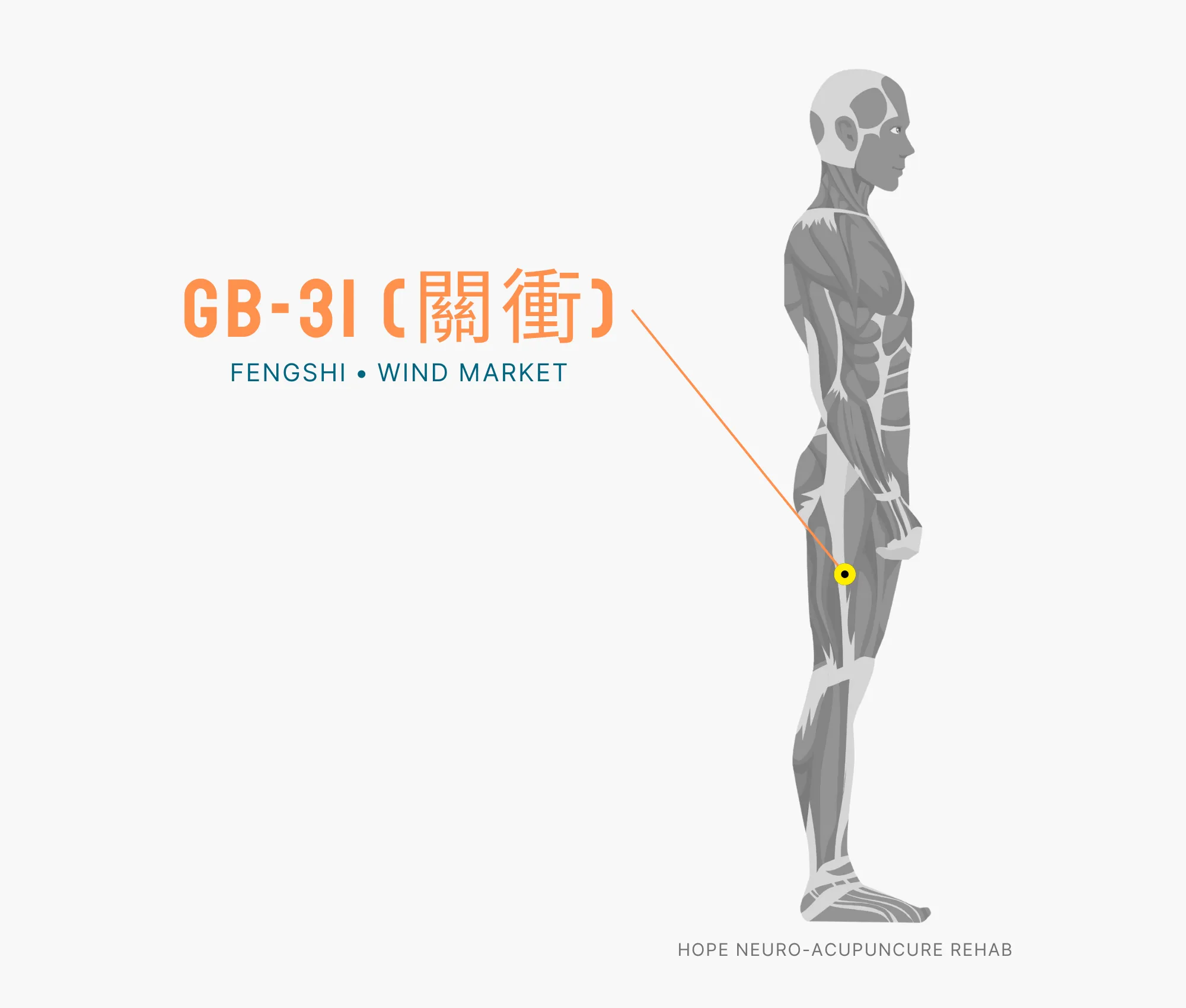 Diagram Showing Where the GB-31 Acupuncture Point (also known as Fengshi or Wind Market) is within the Gallbladder Meridian