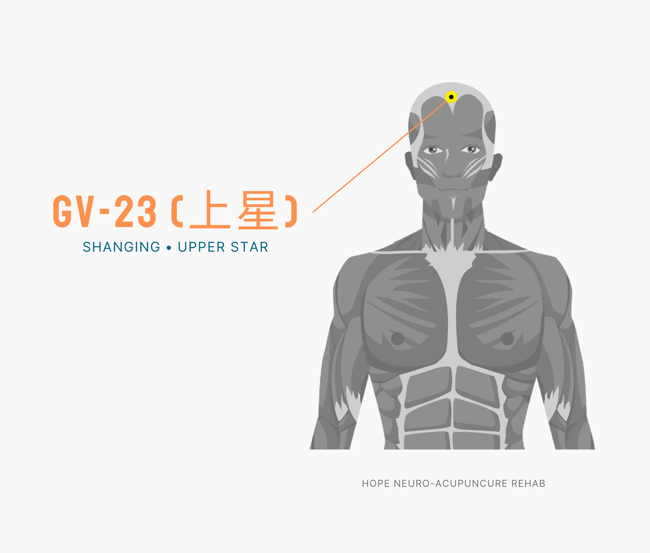 Diagram Showing Where the An Acupuncture Point is within the Governing Vessel Meridian