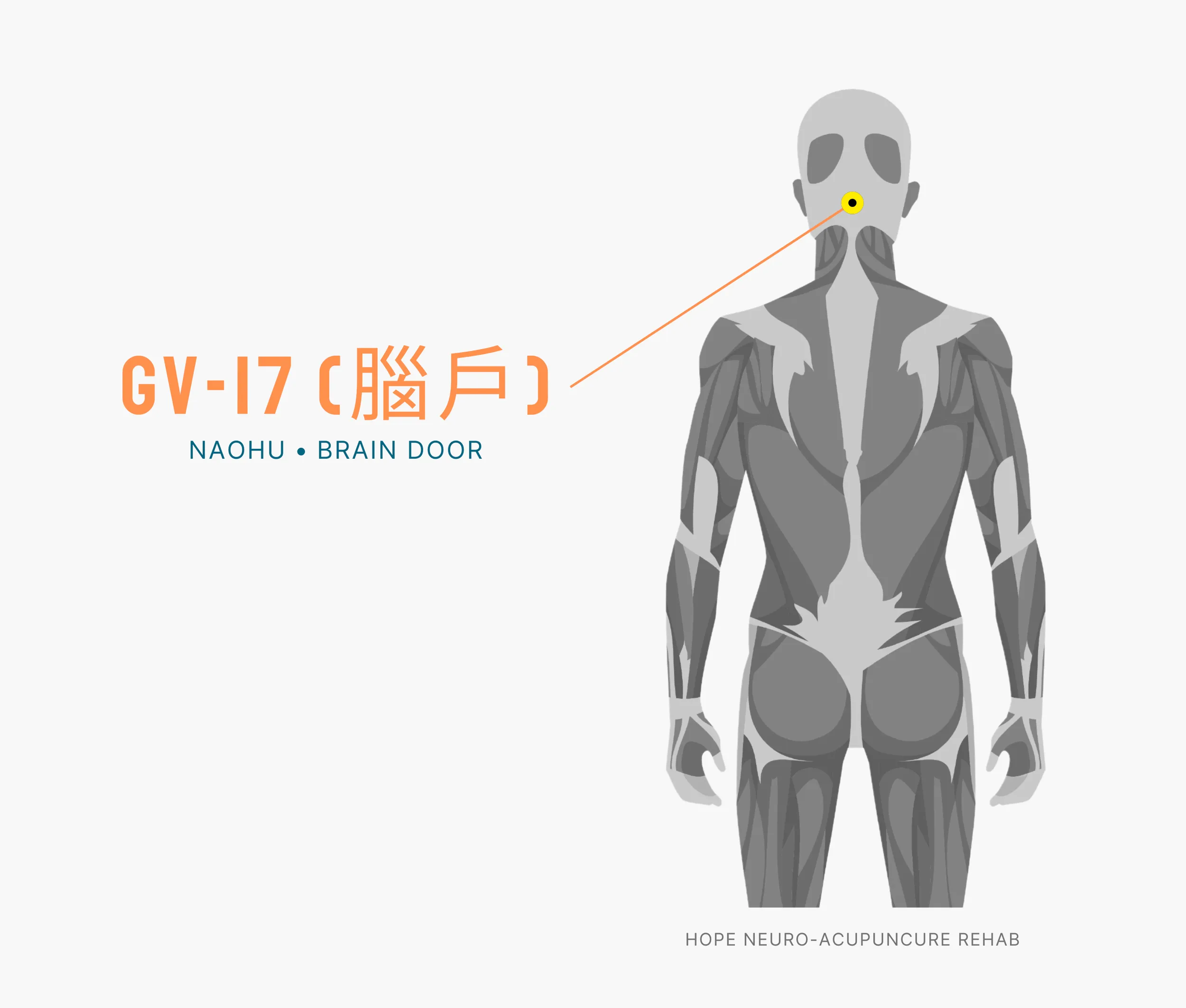 Diagram Showing Where the An Acupuncture Point is within the Governing Vessel Meridian