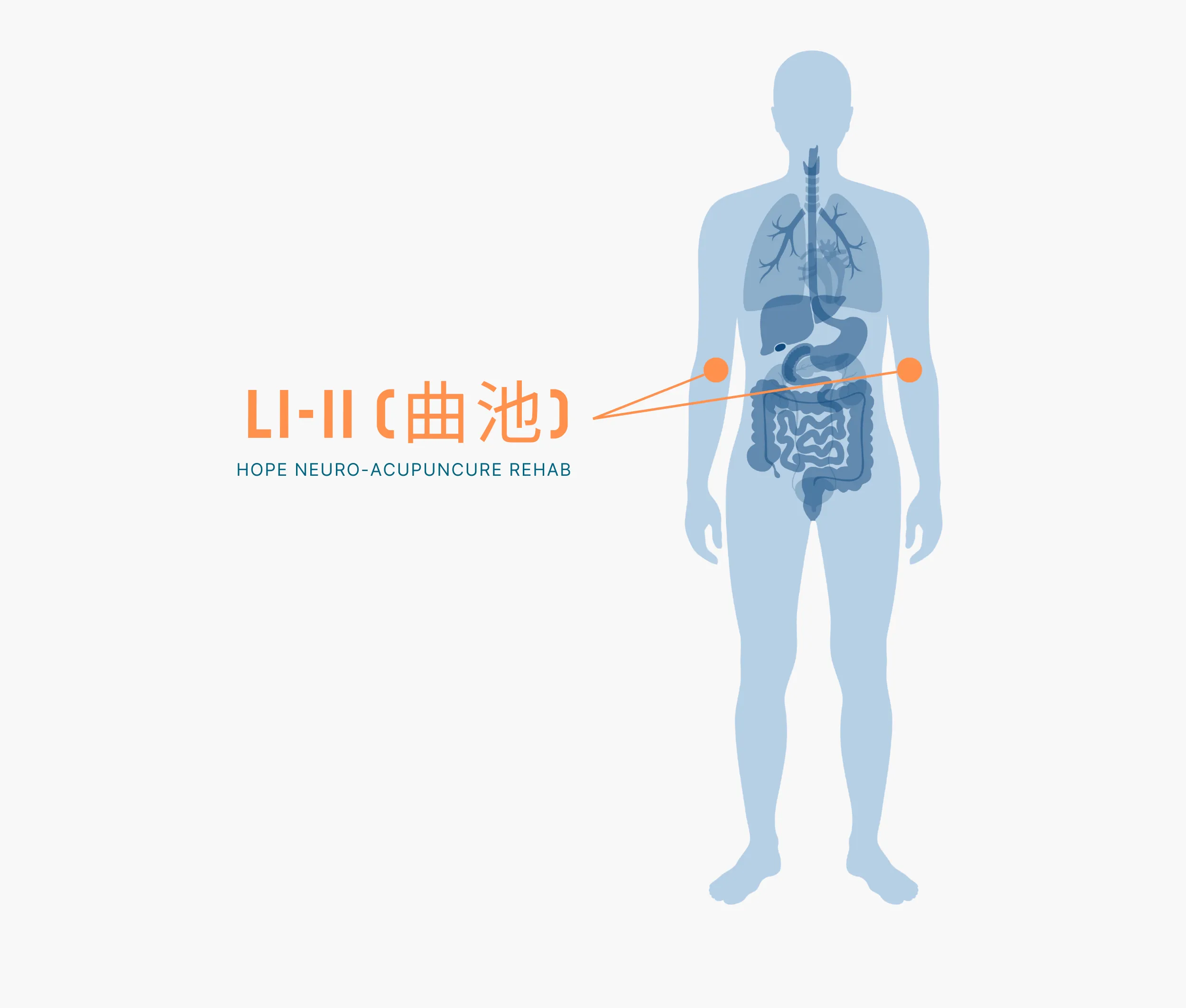 Diagram Showing Where the Li 11 Acupuncture Point is within the Large Intestine Meridians