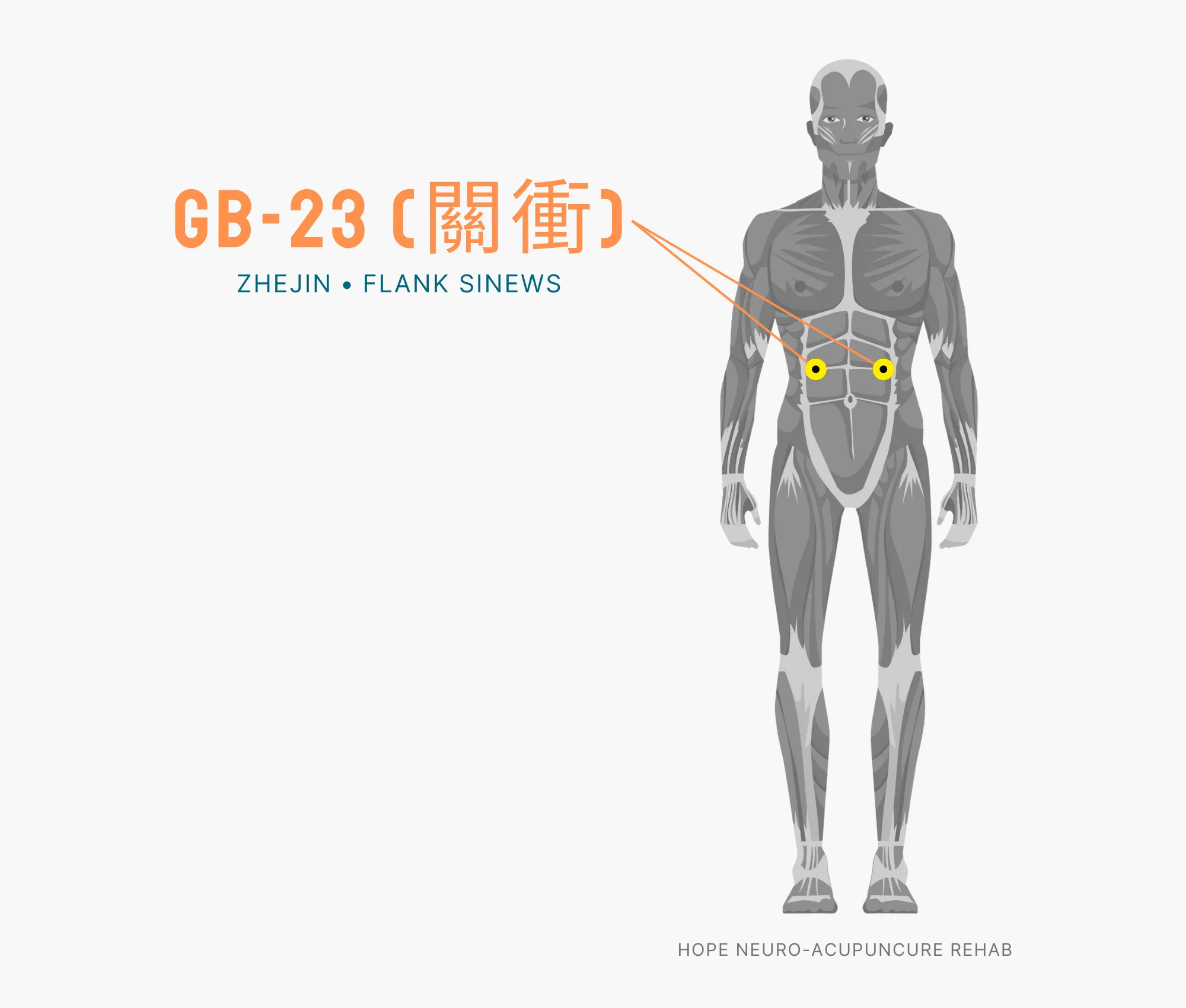Diagram Showing Where the GB-23 Acupuncture Point (also known as Zhejin or Flank Sinews) is within the Gallbladder Meridian