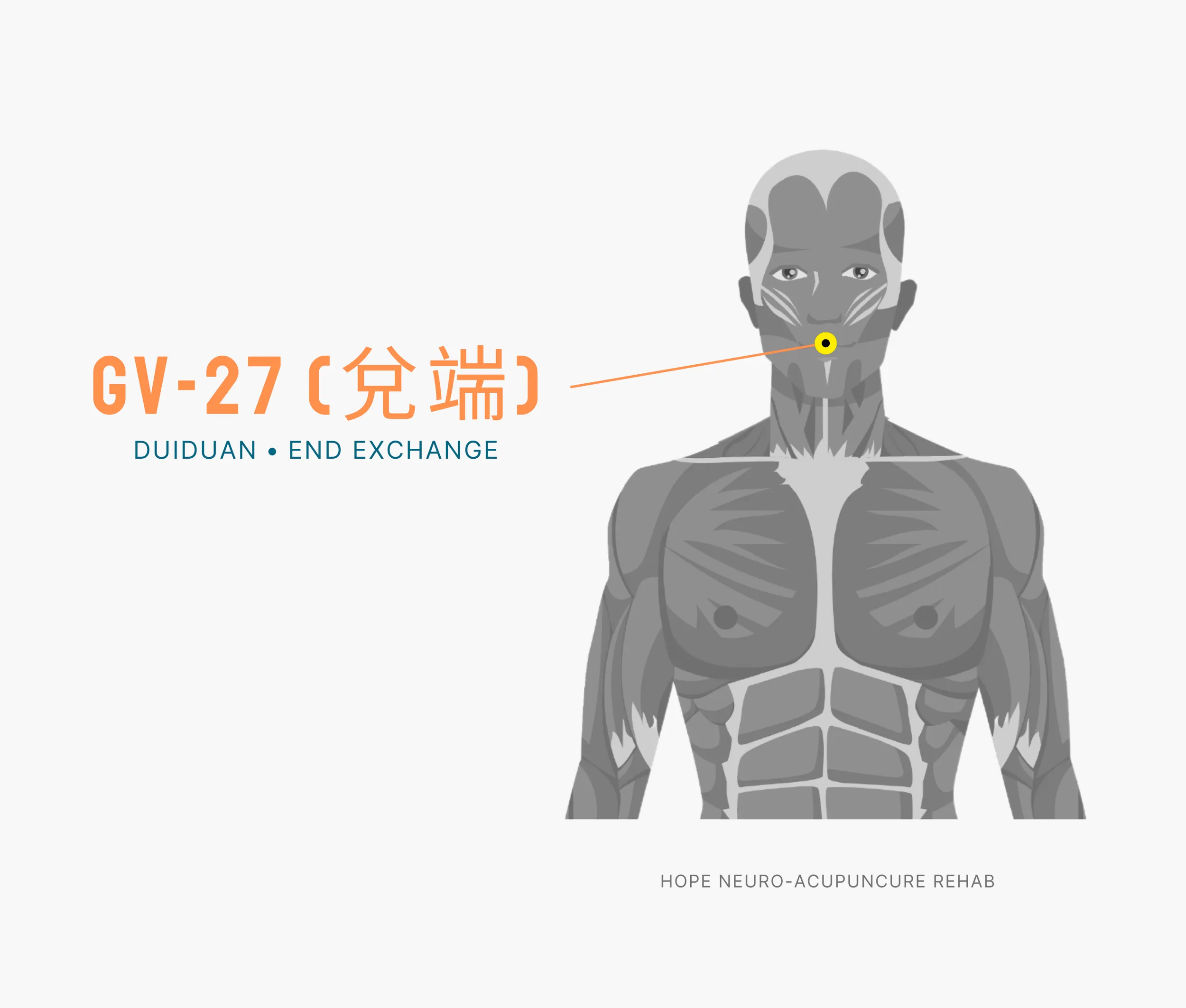 Diagram Showing Where the An Acupuncture Point is within the Governing Vessel Meridian