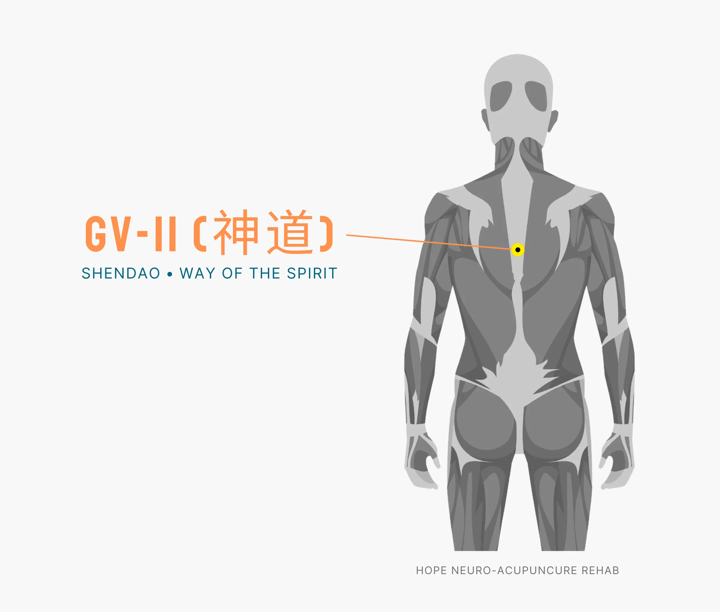 Diagram Showing Where the An Acupuncture Point is within the Governing Vessel Meridian