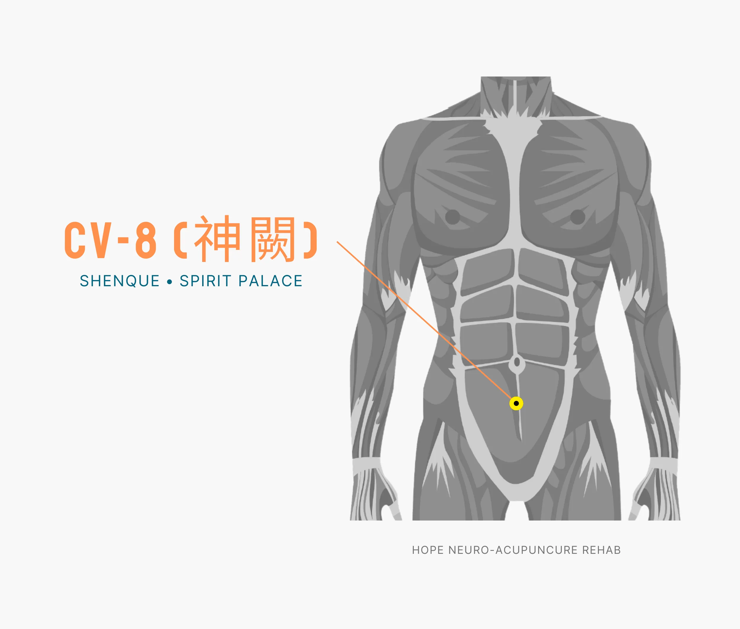 Diagram Showing Where the An Acupuncture Point is within the Conception Vessel MeridianDiagram Showing Where the An Acupuncture Point is within the Conception Vessel Meridian