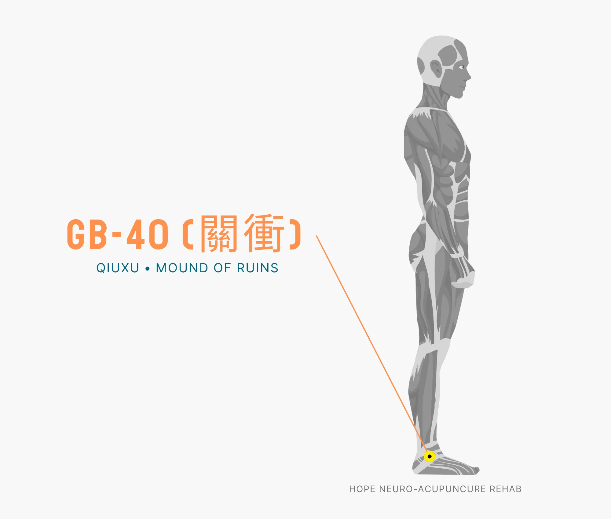 Diagram Showing Where the GB-40 Acupuncture Point (also known as Qiuxu or Mound of Ruins) is within the Gallbladder Meridian