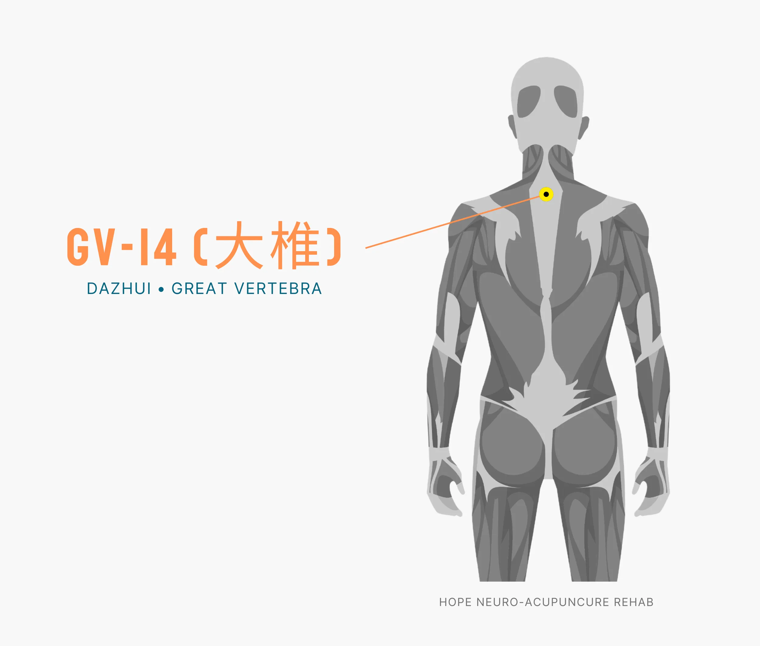Diagram Showing Where the An Acupuncture Point is within the Governing Vessel Meridian