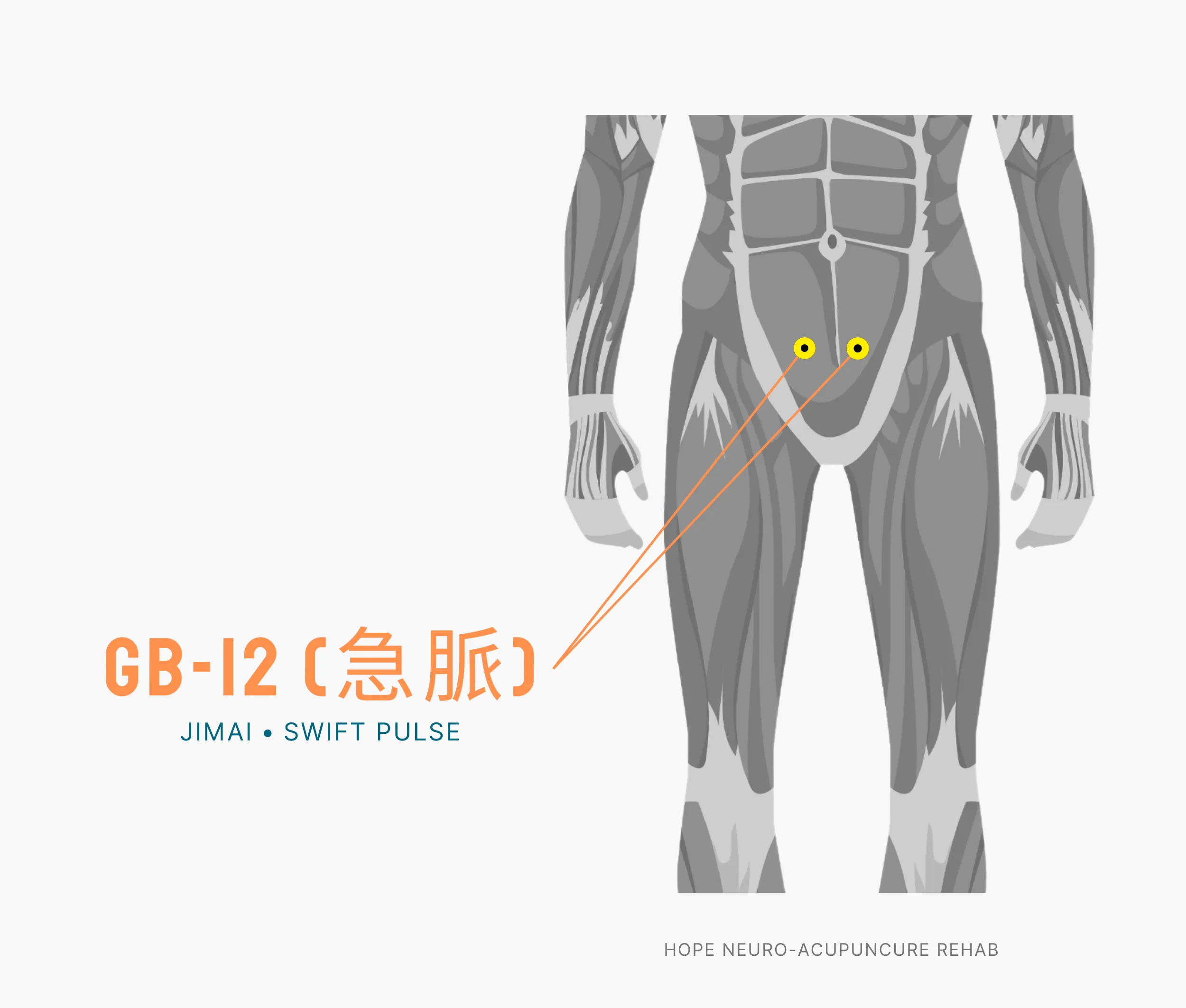 Diagram Showing Where the An Acupuncture Point is within the Liver Meridian