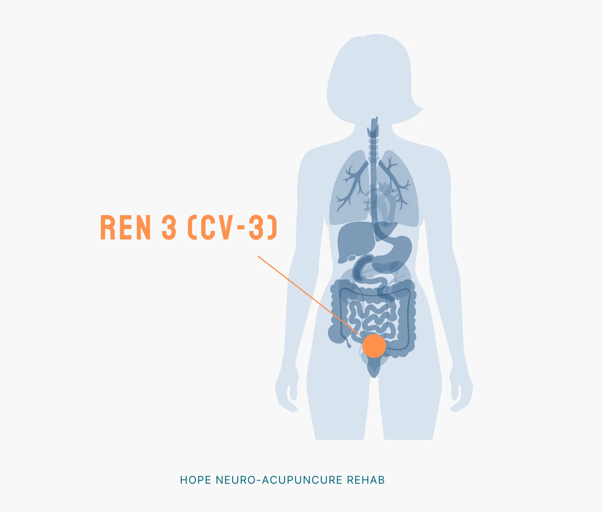 diagram pointing towards lower abdomen location of acupuncture point ren 3