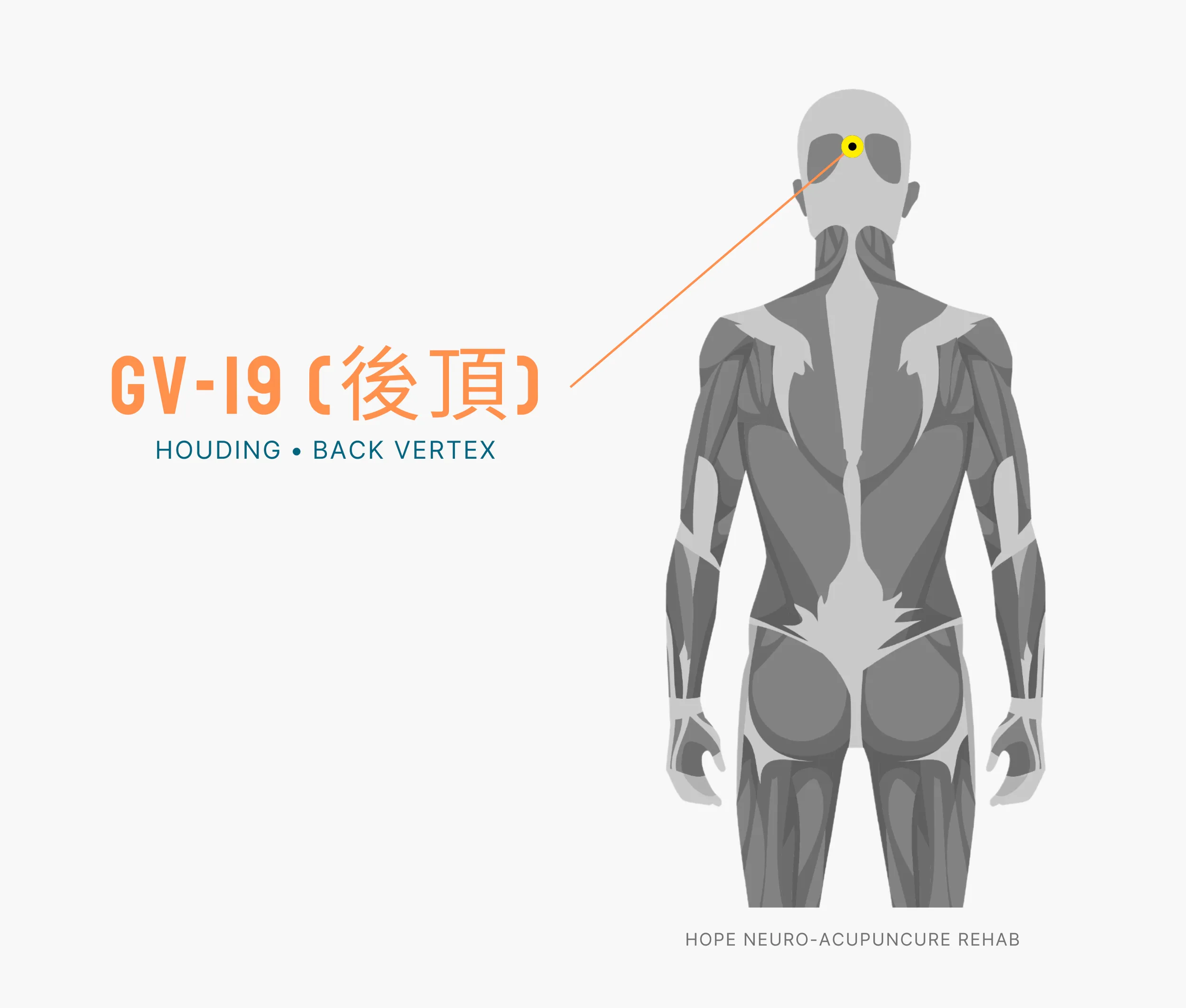 Diagram Showing Where the An Acupuncture Point is within the Governing Vessel Meridian