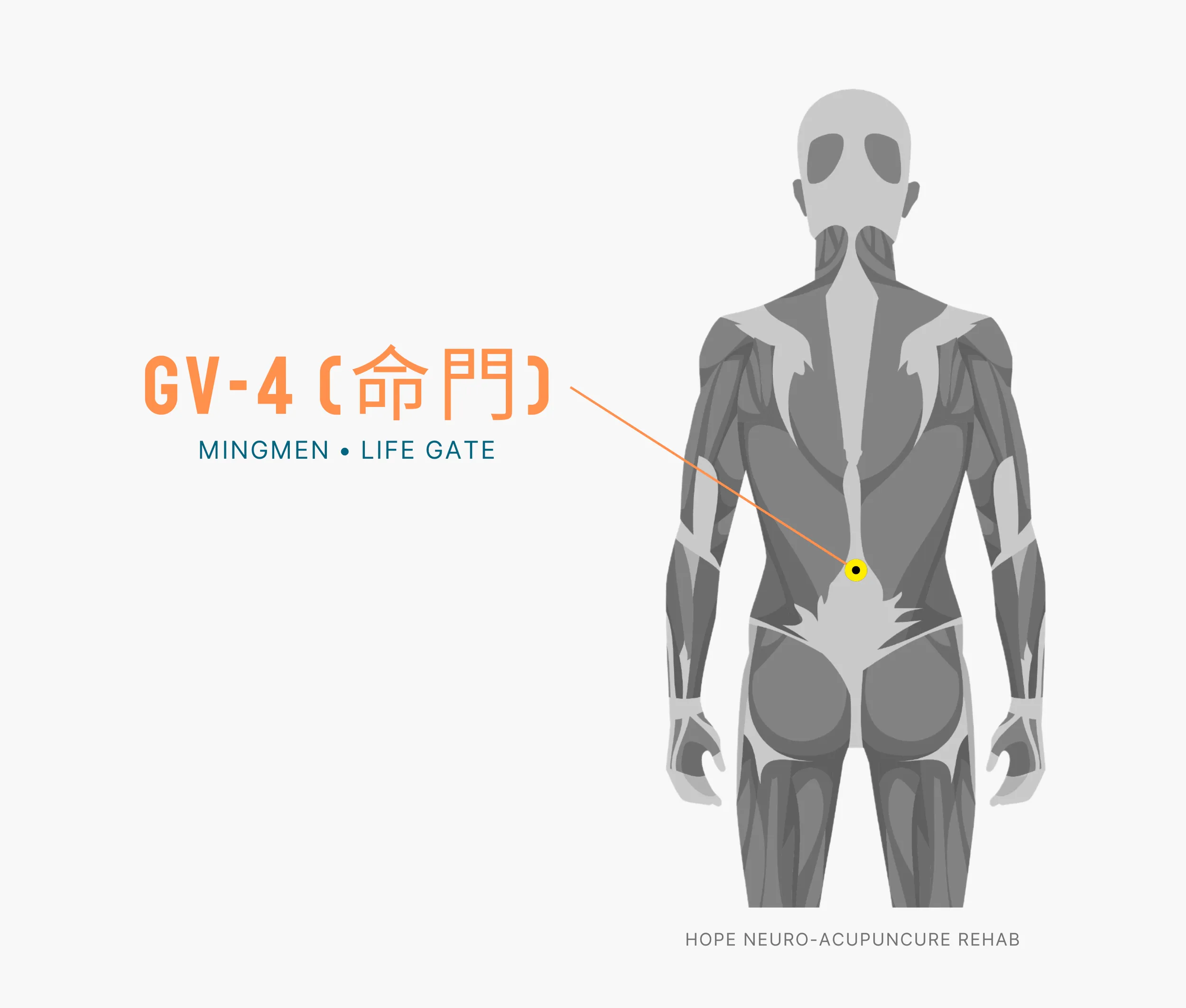 Diagram Showing Where the An Acupuncture Point is within the Governing Vessel Meridian