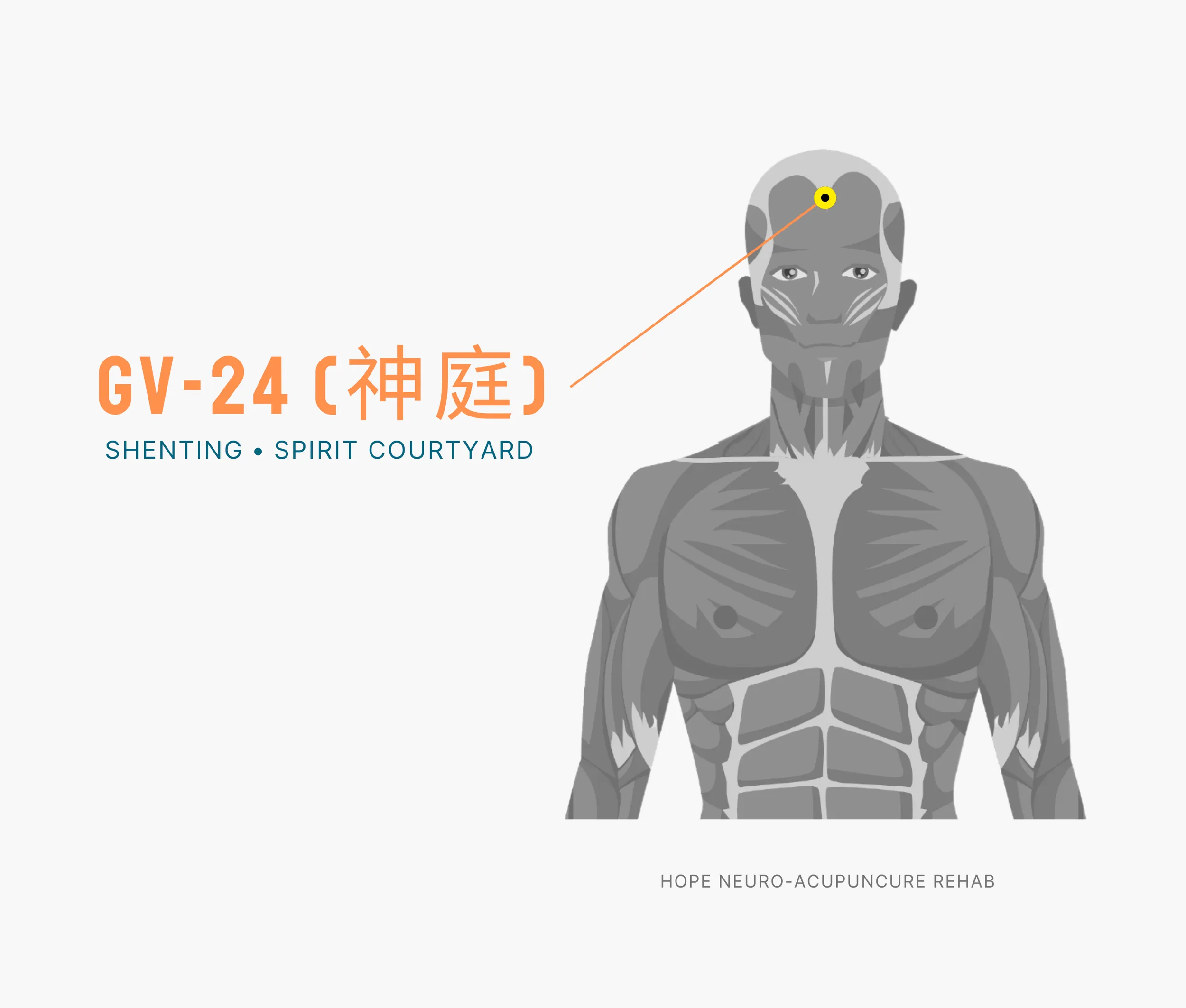 Diagram Showing Where the An Acupuncture Point is within the Governing Vessel Meridian